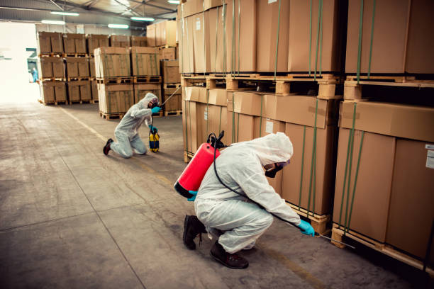 Best Wasp Removal Services  in Bartow, FL