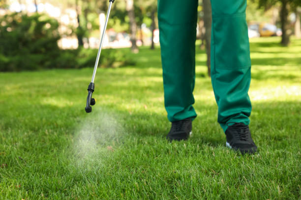 Trusted Bartow, FL Pest Control Experts