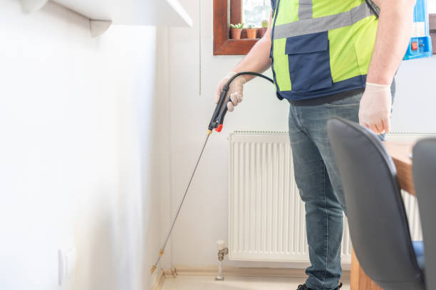 Best Wasp Removal Services  in Bartow, FL